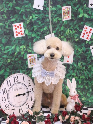 20250427モコくん